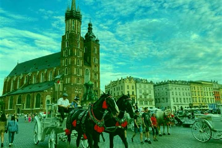 Ivy, 27 — Escort in Ogrodzona, Poland