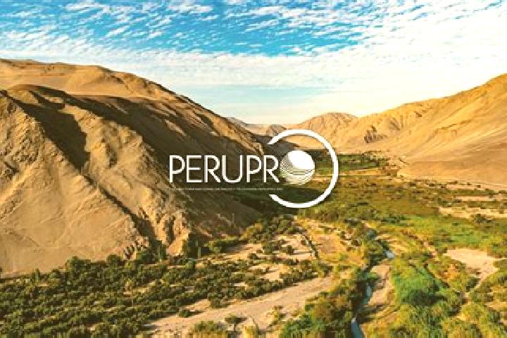 Ivy, 27 — Escort in Orcopampa, Peru