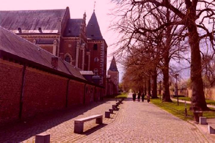 Ivy, 27 — Escort in Rijkhoven, Belgium