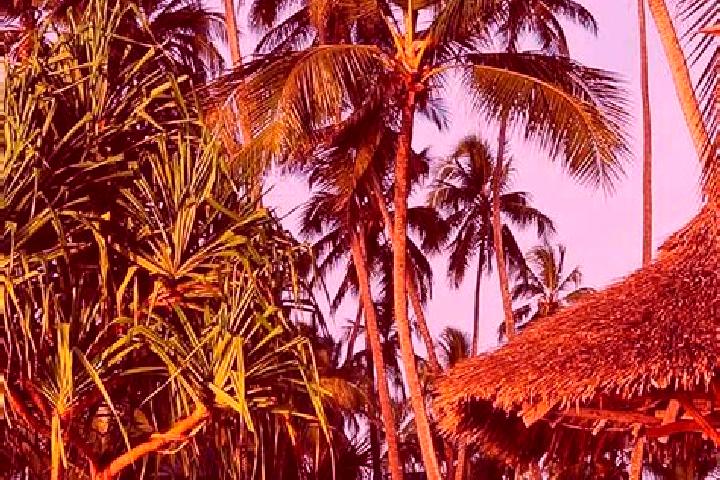 Ivy, 27 — Escort in Shelui, Tanzania