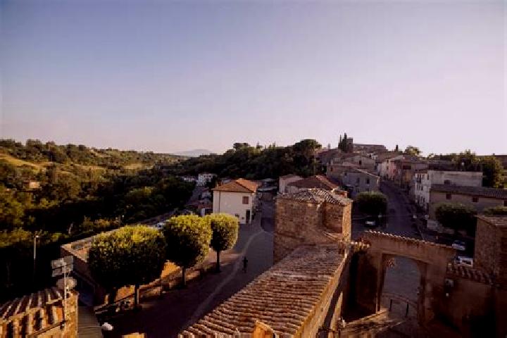 Ivy, 27 — Escort in Sipicciano, Italy