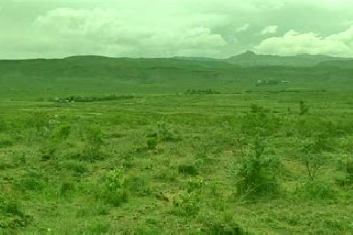 Ivy, 27 — Escort in Upper Gilgil, Kenya