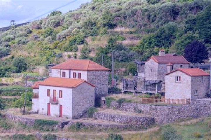 Ivy, 27 — Escort in Vale de Cambra, Portugal