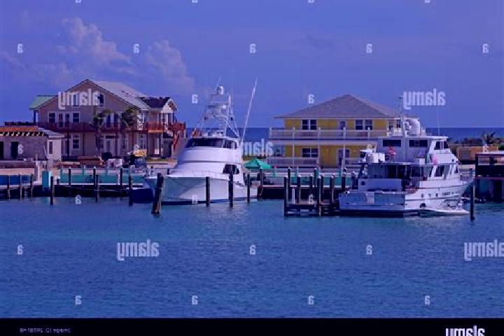 Ivy, 28 — Escort in Clarence Town, Bahamas