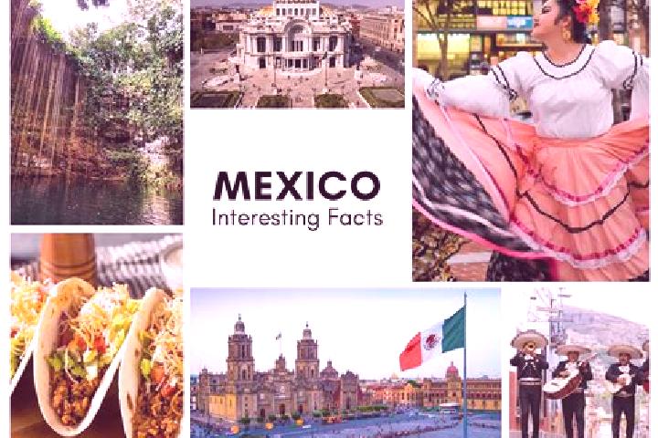 Ivy, 28 — Escort in Cocalzingo, Mexico
