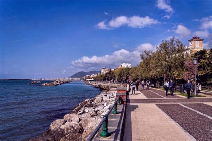 Ivy, 28 — Escort in Faiano, Italy
