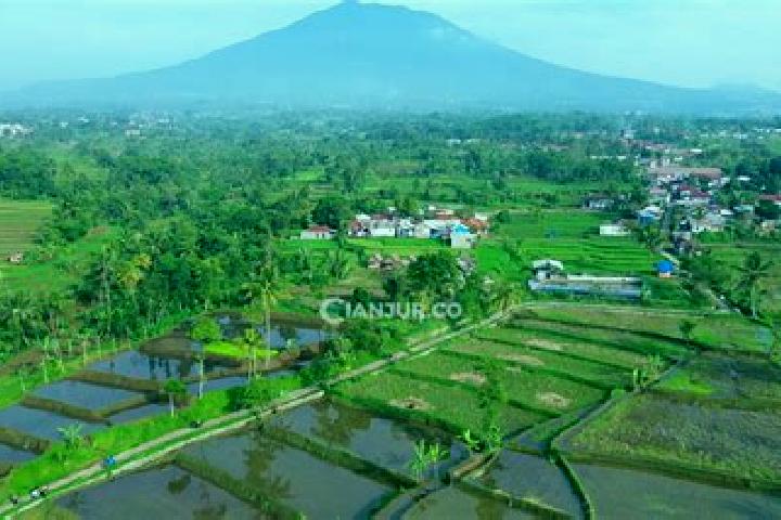 Ivy, 28 — Escort in Kadupandak, Indonesia