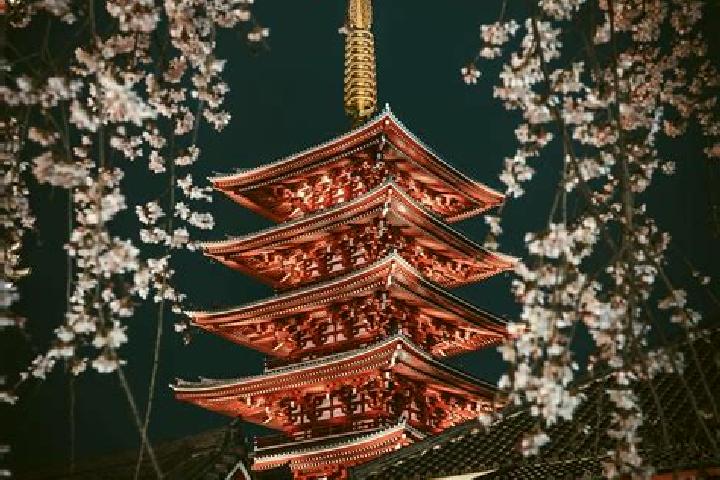 Ivy, 28 — Escort in Kosuge, Japan