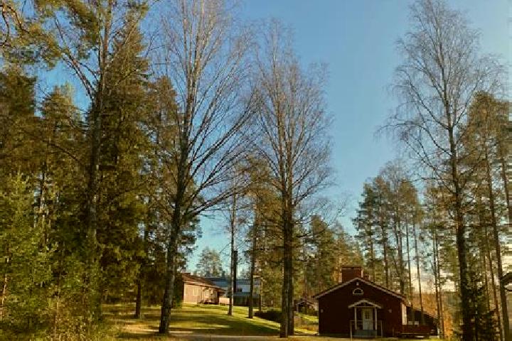 Ivy, 28 — Escort in Sulkava, Finland