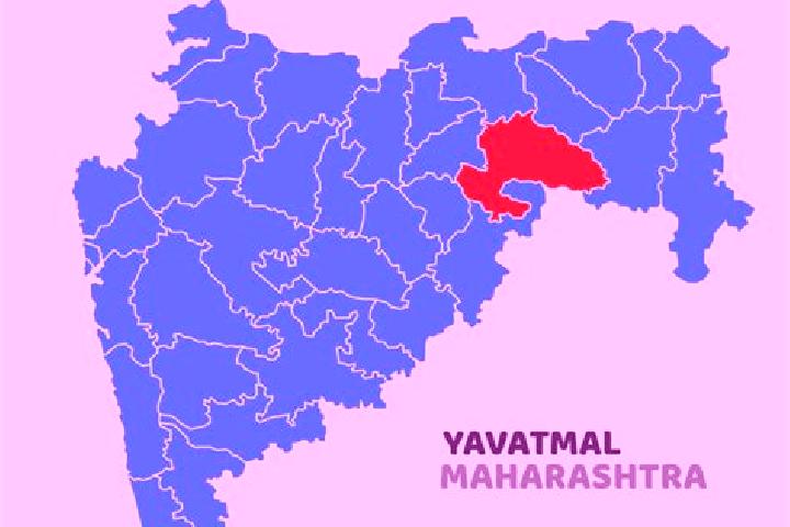 Ivy, 28 — Escort in Varangaon, India