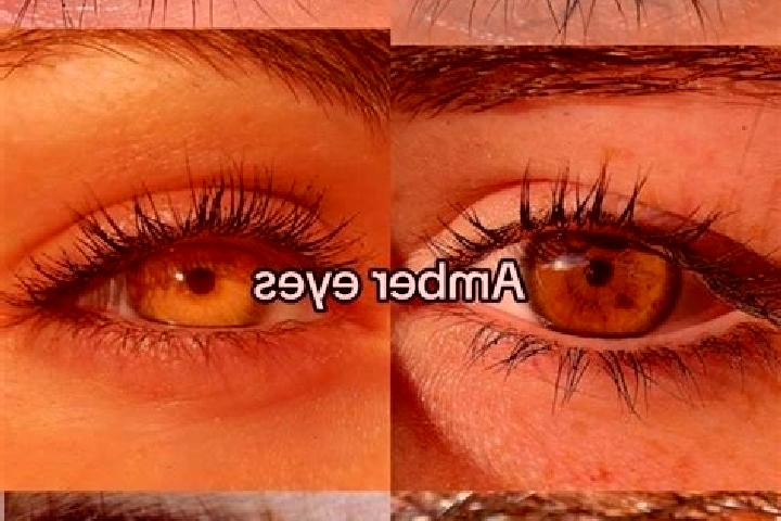 Ivy, 29, a brunette amber-eyed ebony companion based in Kortemark. Offering OWO, Overnight, Tantra, Erotic Massage, BDSM. Available for incall and outcall, o...