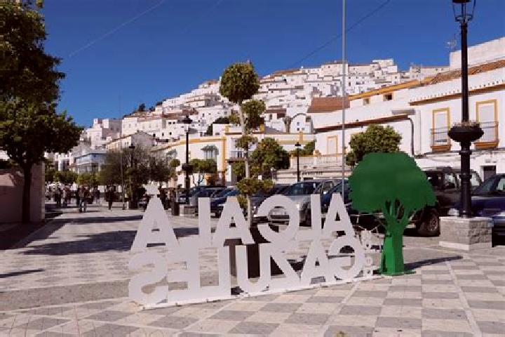 Ivy, 29 — Escort in Alcala de los Gazules, Spain