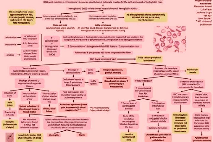 Ivy, 29 — Escort in Bojongaren, Indonesia