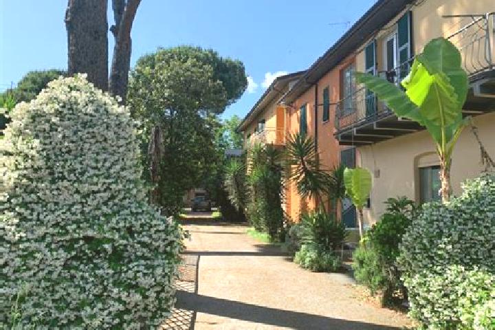 Ivy, 29 — Escort in Ceparana-Carpena, Italy