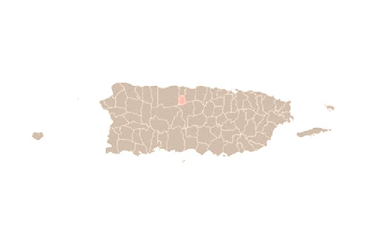 Ivy, 29 — Escort in Estancias de Florida, Puerto Rico