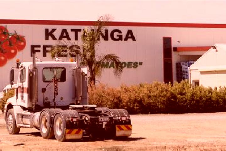 Ivy, 29 — Escort in Katunga, Australia