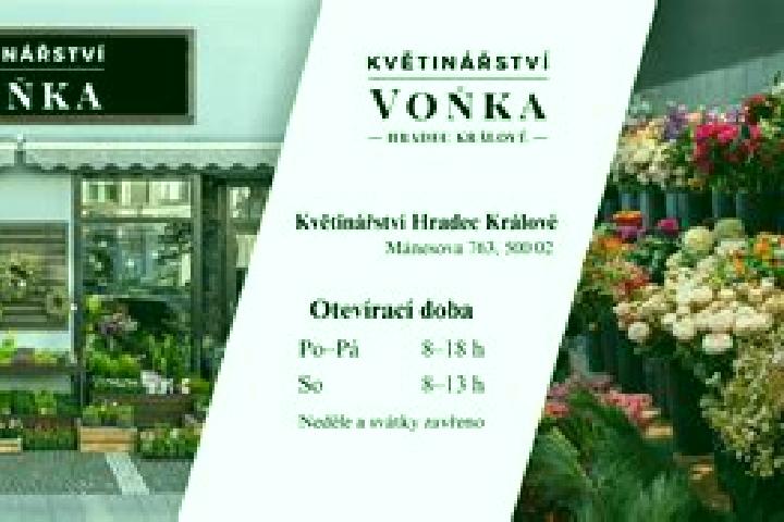 Ivy, 29 — Escort in Kunstat, Czech Republic