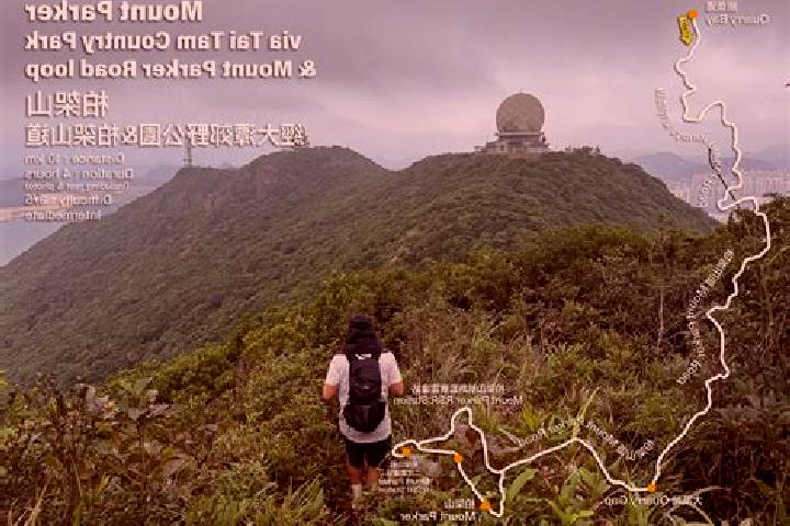 Ivy, 29 — Escort in Mount Parker, Hong Kong