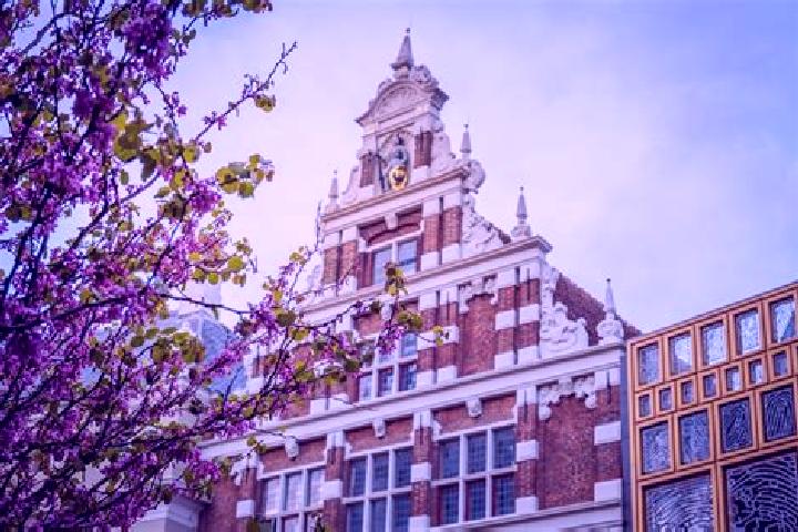 Ivy, 29 — Escort in Palenstein, Netherlands