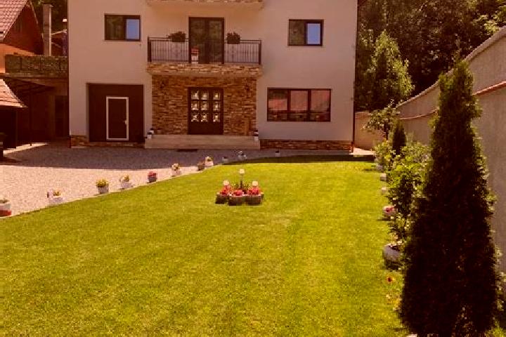 Ivy, 29 — Escort in Plaiu Nucului, Romania