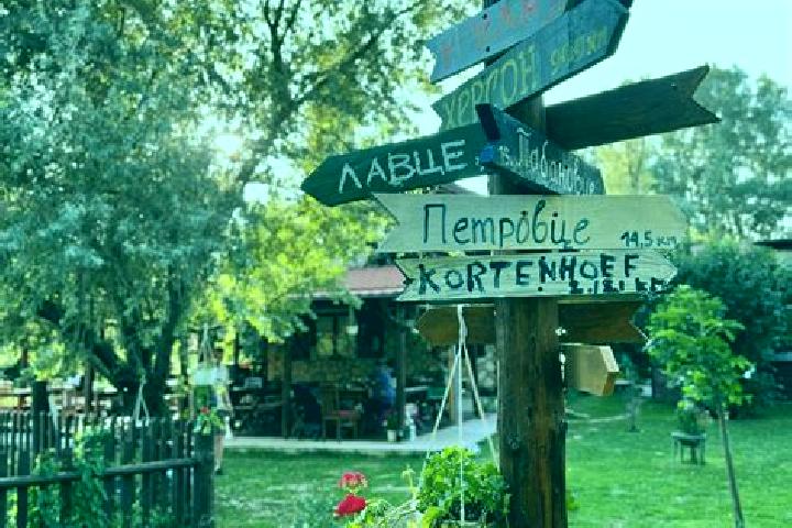 Ivy, 29 — Escort in Staro Konjarevo, North Macedonia