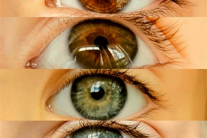 Ivy, 30, a chestnut grey-eyed middle eastern companion based in Uhyst. Offering Tantra, Massage, BDSM, OWO. Available for incall and outcall, day and evening...