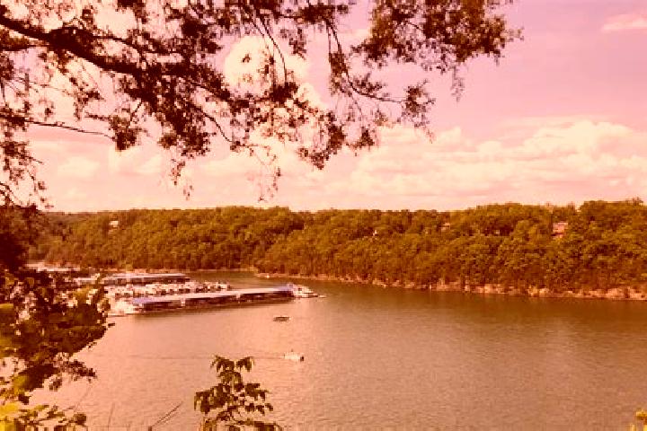 Ivy, 30 — Escort in Lake Petersburg, United States