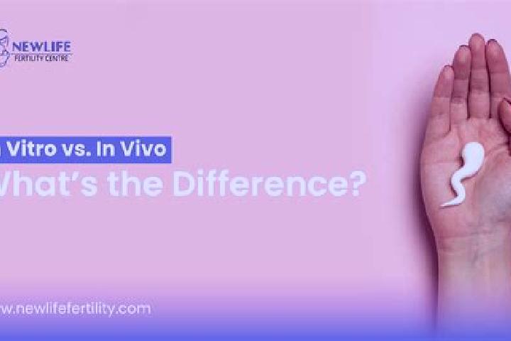 Ivy, 30 — Escort in Malecnik, Slovenia