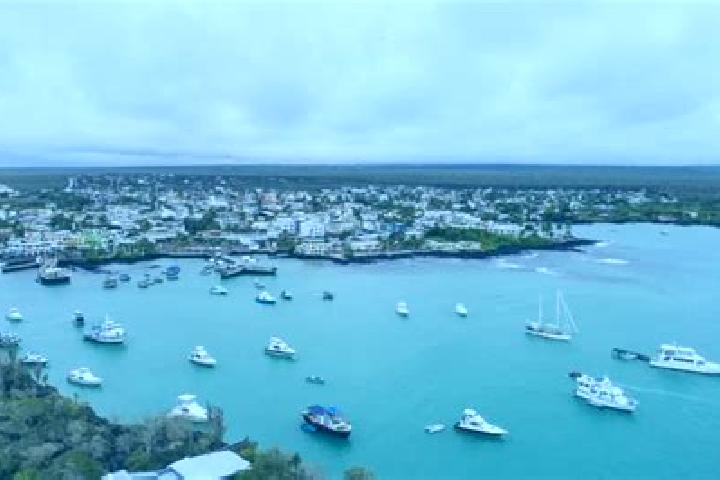 Ivy, 30 — Escort in Puerto Ayora, Ecuador