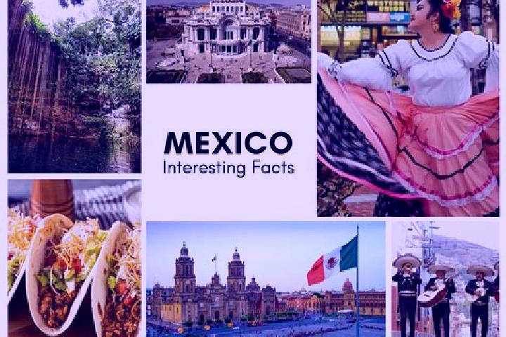 Ivy, 30 — Escort in Tanya, Mexico