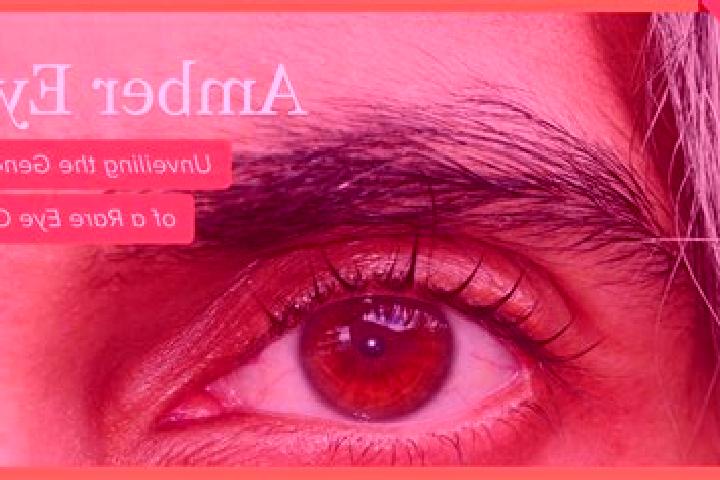 Ivy, 31, a red amber-eyed mediterranean companion based in Isabel. Offering Tantra, Erotic Massage, Striptease, Prostate Massage. Available for incall and ou...