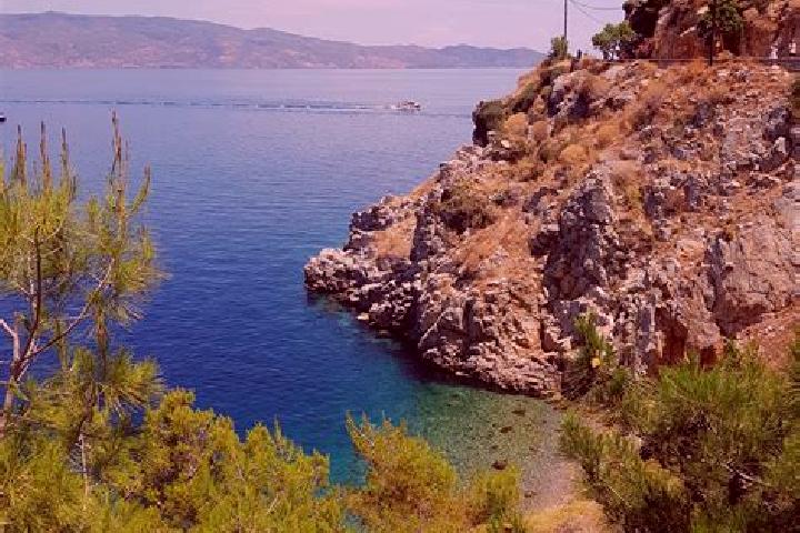 Ivy, 31 — Escort in Avlonarion, Greece