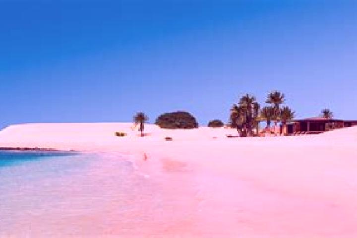 Ivy, 31 — Escort in Boa Vista, Portugal