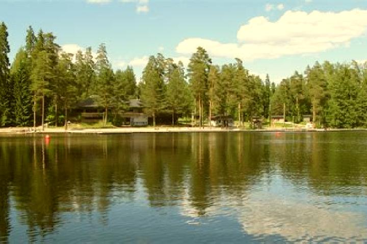 Ivy, 31 — Escort in Koivuhaka, Finland