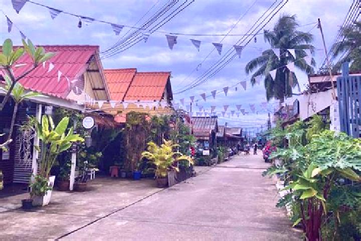 Ivy, 31 — Escort in Saladan, Thailand