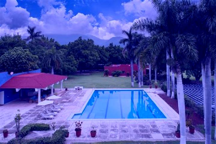 Ivy, 31 — Escort in San Andres Chamilpa, Mexico