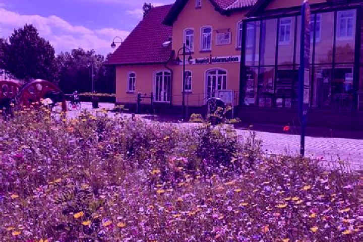 Ivy, 31 — Escort in Schortens, Germany