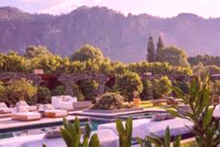 Ivy, 32 — Escort in Chinameca, Mexico