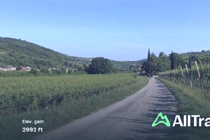 Ivy, 32 — Escort in San Briccio, Italy