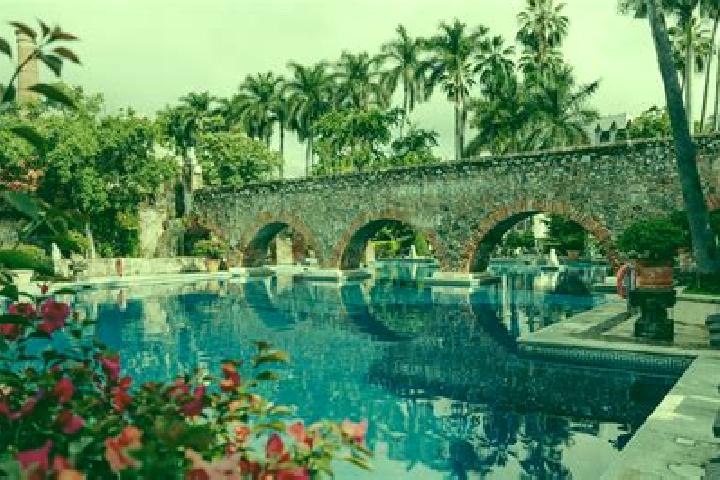 Ivy, 33 — Escort in Bosques de la Hacienda, Mexico