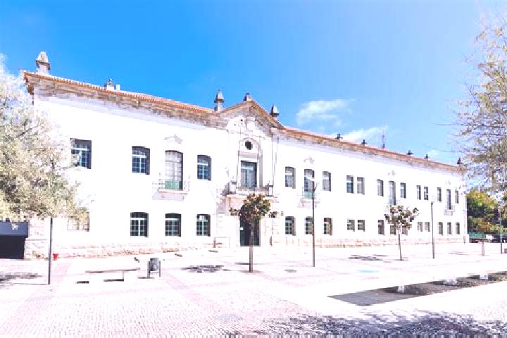 Ivy, 33 — Escort in Carregal do Sal, Portugal