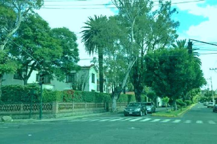 Ivy, 33 — Escort in Colonia Anahuac, Mexico