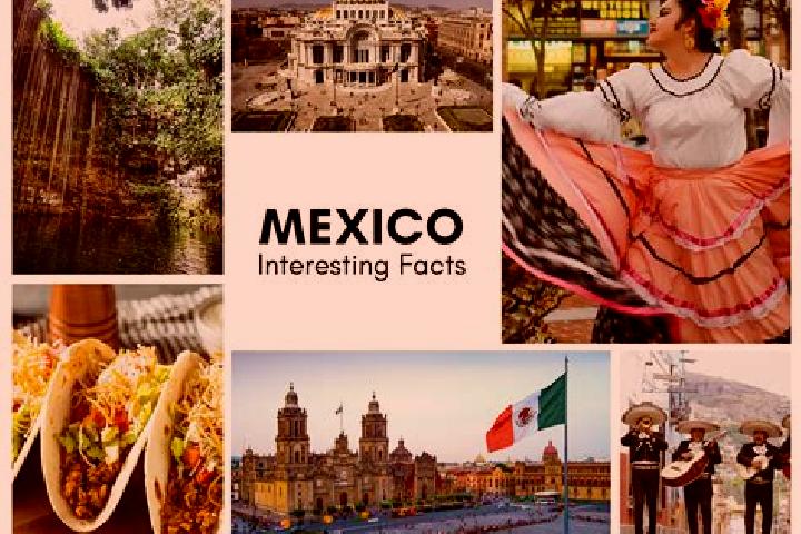 Ivy, 33 — Escort in Doxteje Centro, Mexico