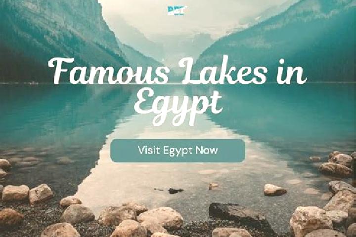 Ivy, 33 — Escort in Egypt, United States