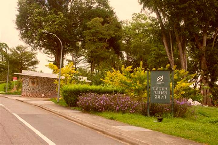 Ivy, 33 — Escort in Mount Emily Park, Singapore