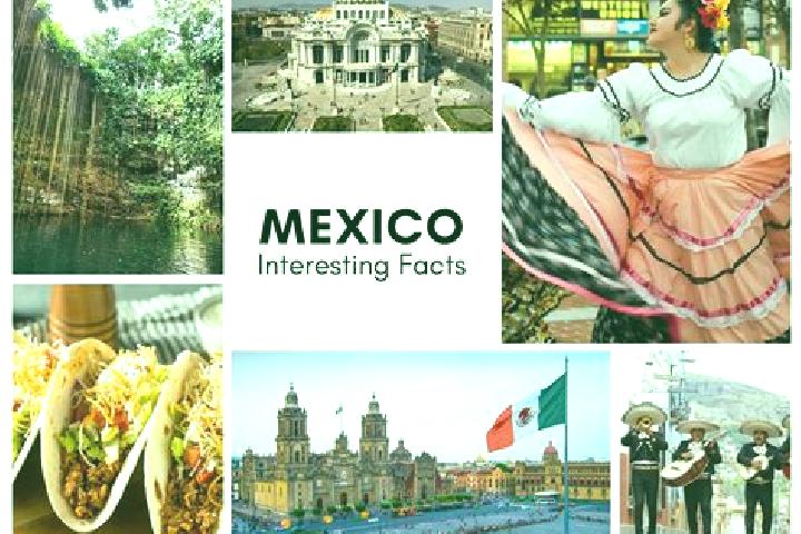 Ivy, 33 — Escort in Poligonos, Mexico
