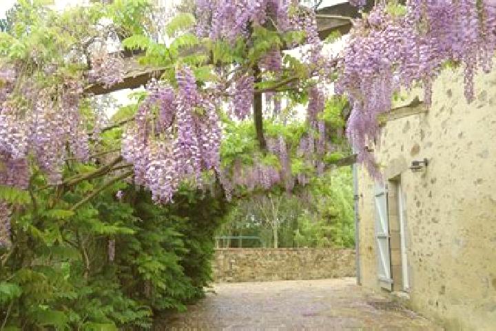 Ivy, 33 — Escort in Sainte-Flaive-des-Loups, France