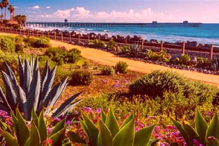 Ivy, 33 — Escort in San Clemente, Spain