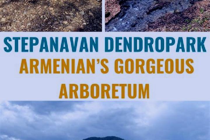 Ivy, 33 — Escort in Stepanavan, Armenia