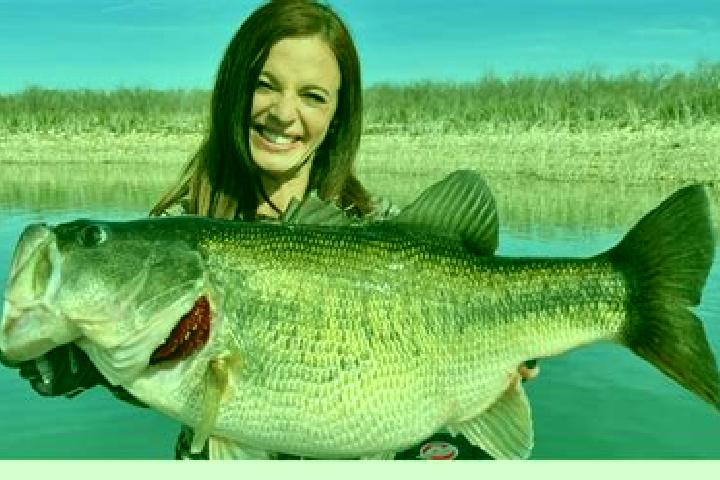 Ivy, 34 — Escort in Bass Lake, United States